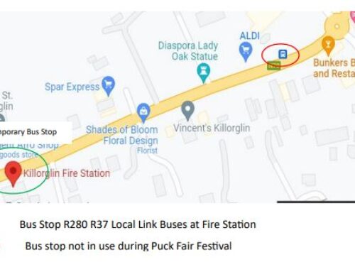 Puck Fair 2023 – TFI Local Link Kerry Service Update